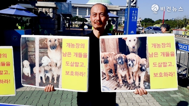 (사진=한국동물보호연합 제공)