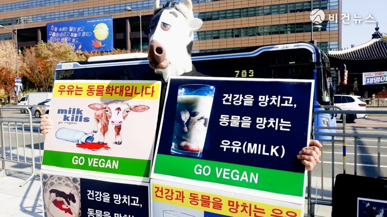 (사진=한국동물보호연합 제공)
