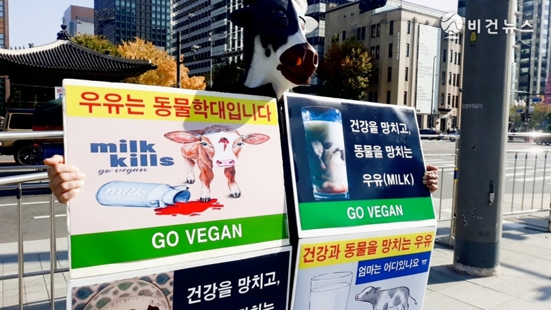 (사진=한국동물보호연합 제공)