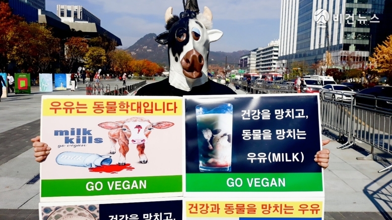 (사진=한국동물보호연합 제공)