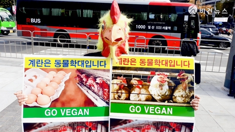 (사진=한국채식연합 제공)