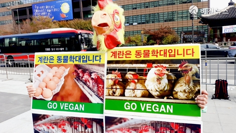 (사진=한국채식연합 제공)