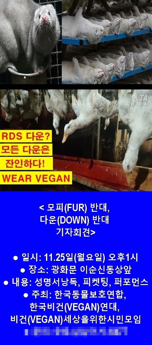 (사진=한국동물보호연합 제공)