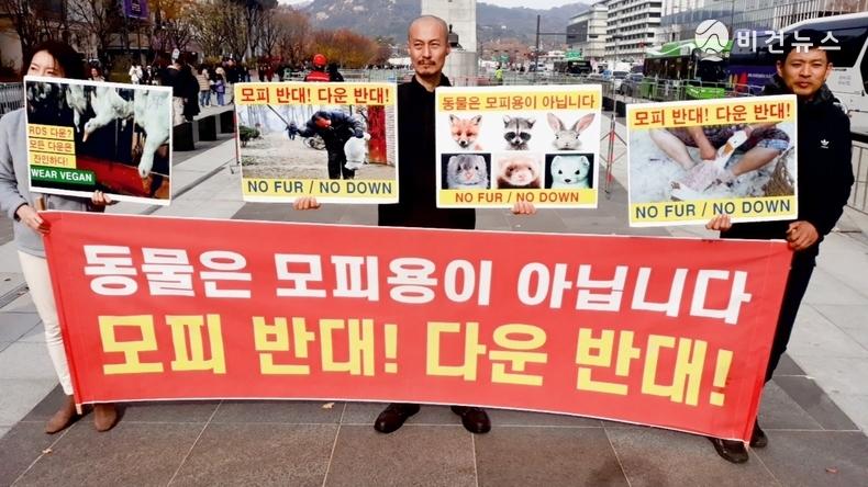 (사진=한국동물보호연합 제공)