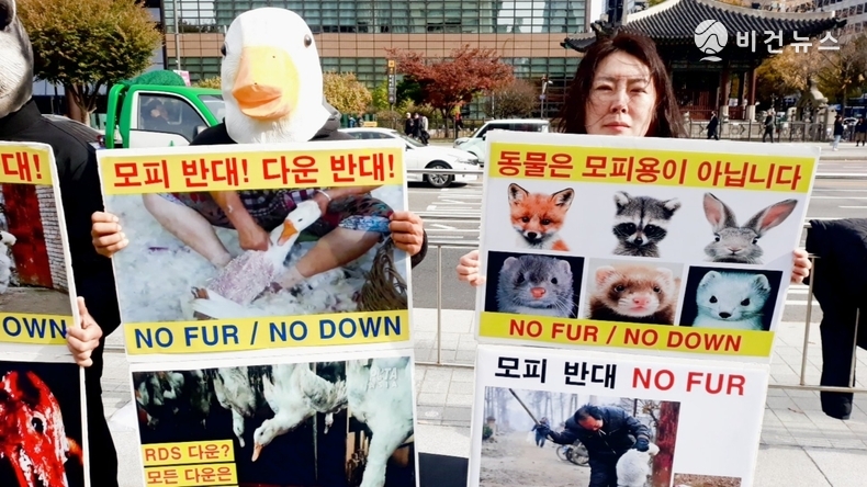 (사진=한국동물보호연합 제공)