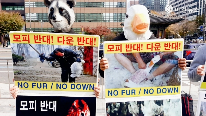 (사진=한국동물보호연합 제공)