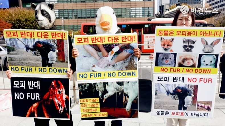 (사진=한국동물보호연합 제공)