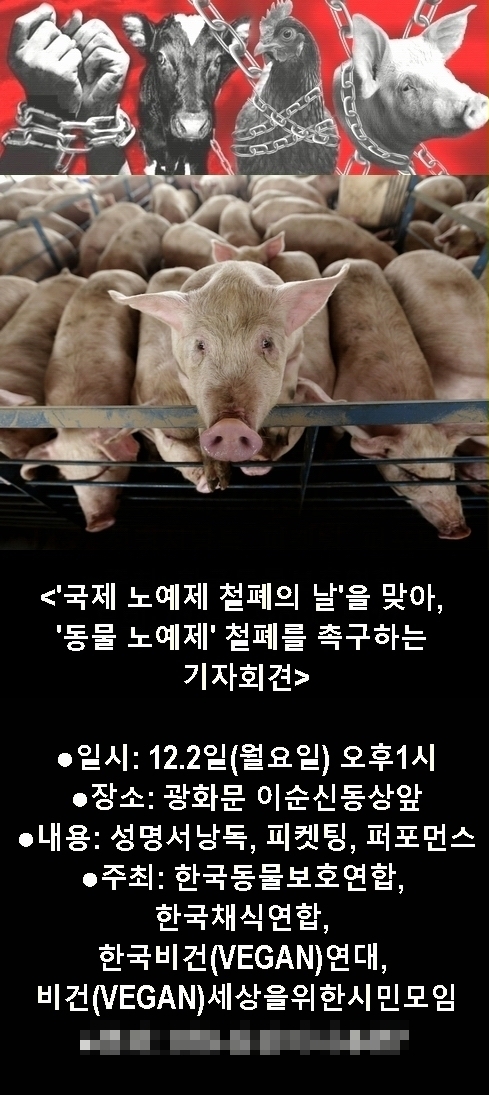 (사진=한국동물보호연합 제공)