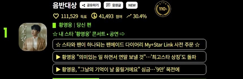 (사진=네티즌어워즈 홈페이지 갈무리)