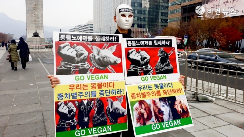 (사진=한국동물보호연합 제공)
