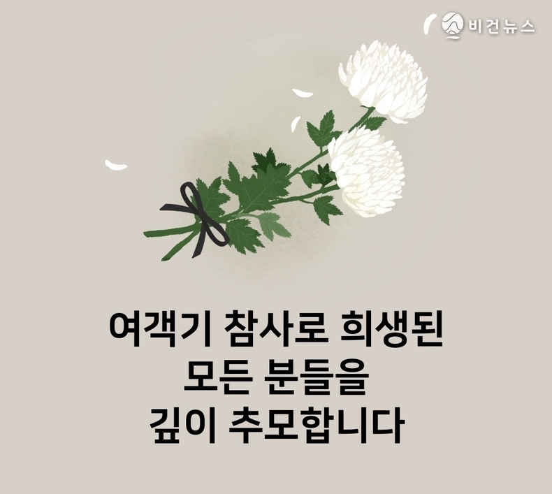 (사진=무안공항 여객기 참사 대책본부 이미지 갈무리)