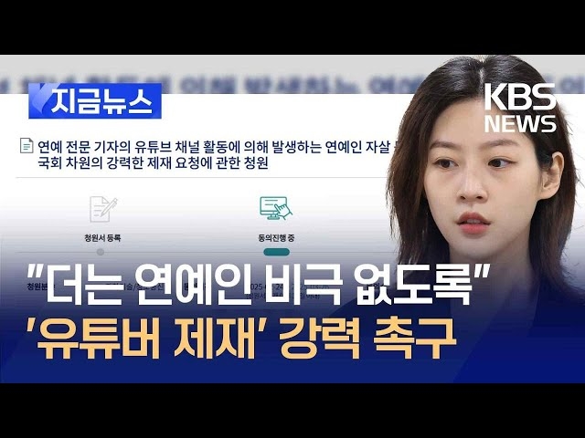 (사진=유튜브 채널 'KBS News' 영상 갈무리)