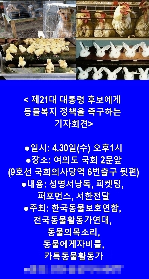 (사진=한국동물보호연합 제공)