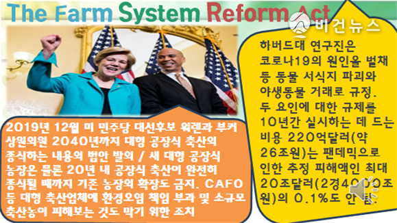 (사진=한국채식문화원 제공)