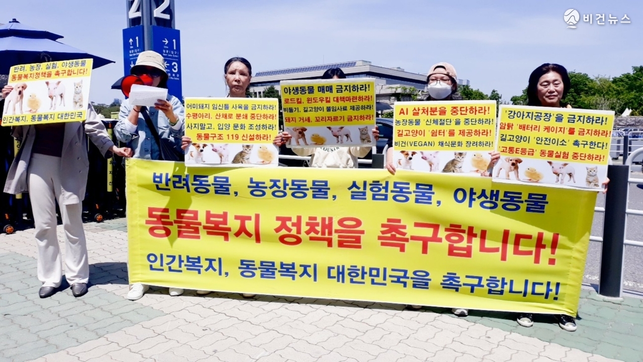 (사진=한국동물보호연합 제공)