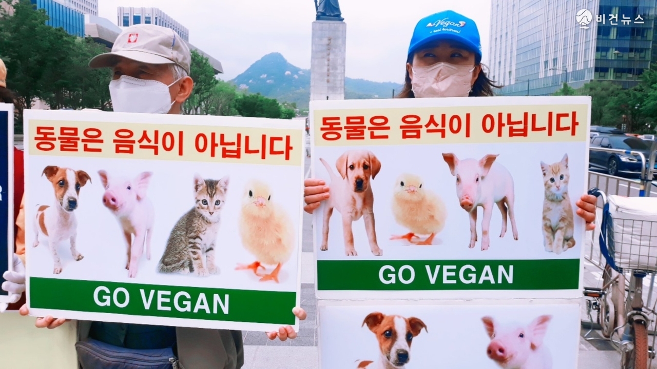 20일 서울 광화문 이순신 동상 앞에서 열린 비건 채식 촉구 기자회견에서 참가자들이 “동물은 음식이 아닙니다”라는 문구가 적힌 피켓을 들고 채식 실천을 호소하고 있다. (사진=한국채식연합)