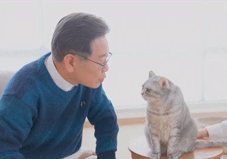 이재명 후보가 고양이와 교감(헤드번팅)하는 모습. (영상=유튜브 채널 '크집사')