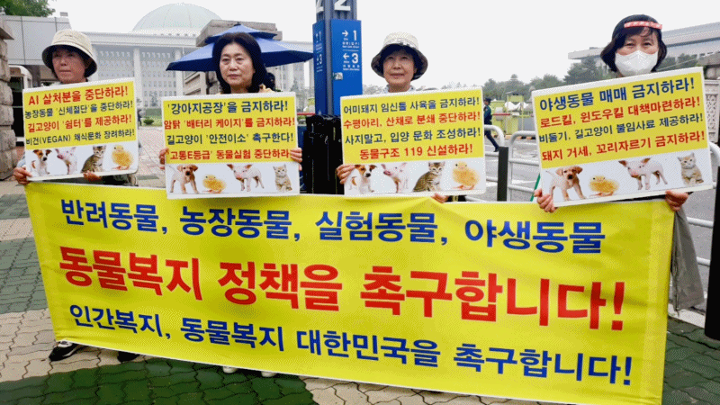한국동물보호연합 등 동물보호단체 회원들이 지난 16일 서울 여의도 국회 정문 앞에서 동물복지 정책 공약 촉구 기자회견을 하고 있다. (사진=한국동물보호연합 제공)
