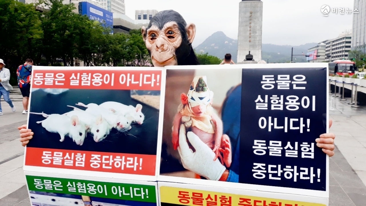 시민단체 회원이 침팬지 가면을 쓰고 동물실험 중단을 촉구하는 피켓을 들고 있다. (사진=한국동물보호연합 제공)