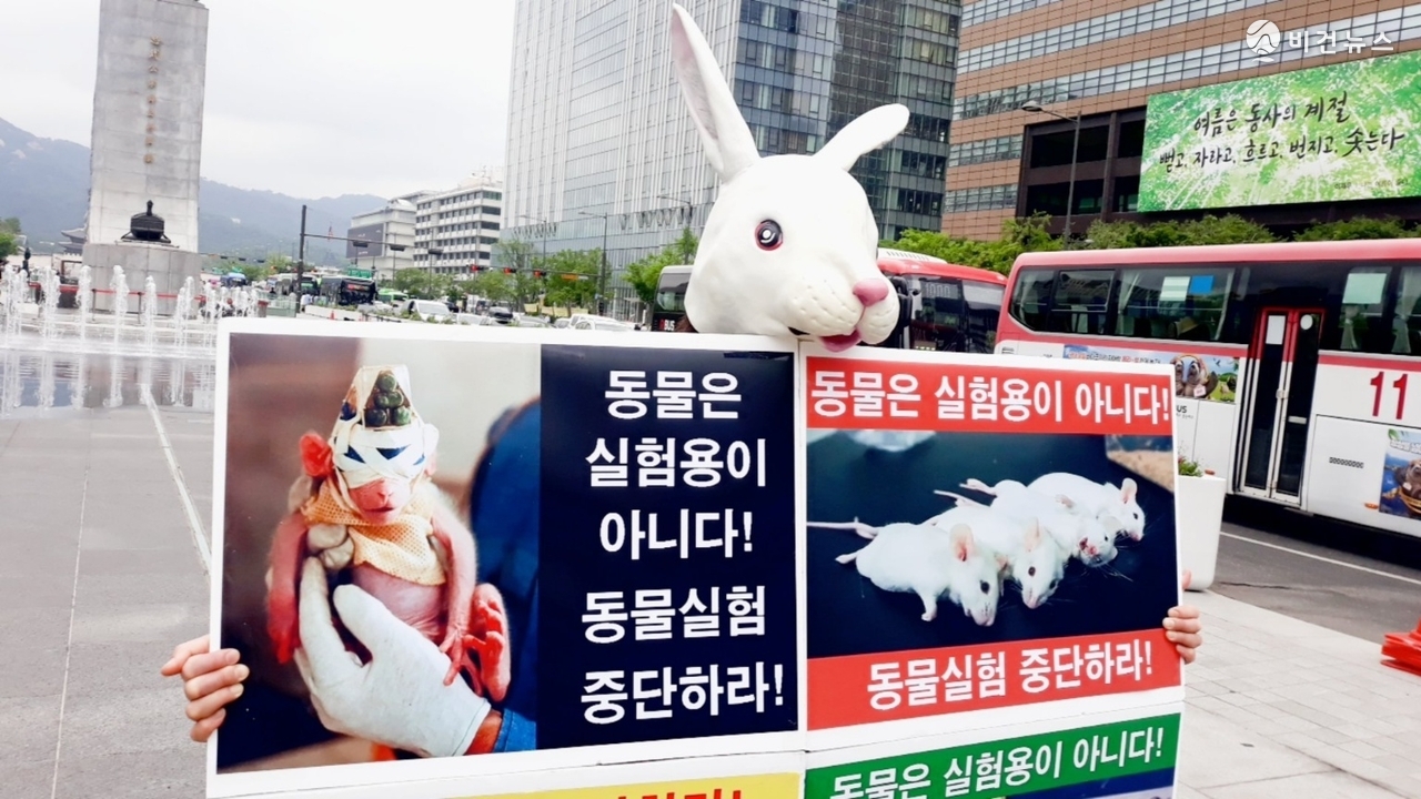 토끼 가면을 쓴 참가자가 동물실험 반대 피켓을 들고 광화문에서 시위에 나섰다. (사진=한국동물보호연합 제공)