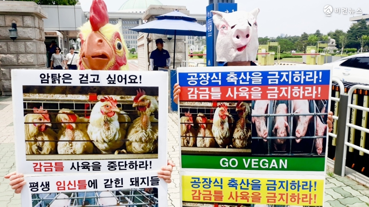 17일 서울 여의도 국회 앞에서 열린 기자회견에서 동물권 단체 회원들이 닭과 돼지 가면을 쓰고 공장식 축산과 감금틀 사육 금지를 촉구하는 퍼포먼스를 펼치고 있다. (사진=한국동물보호연합 제공)