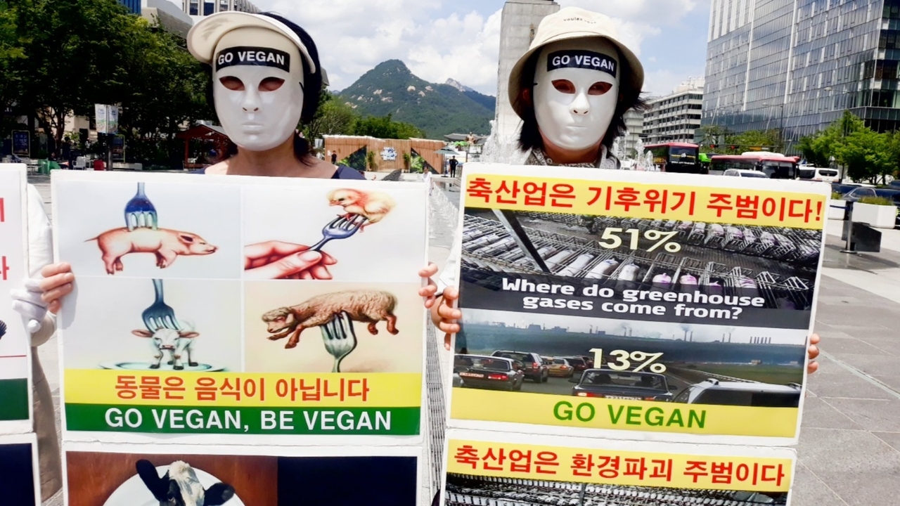 (사진=한국채식연합 제공)