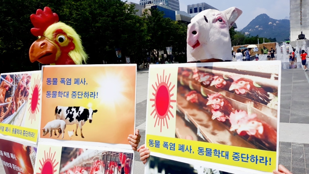 (사진=한국채식연합 제공)