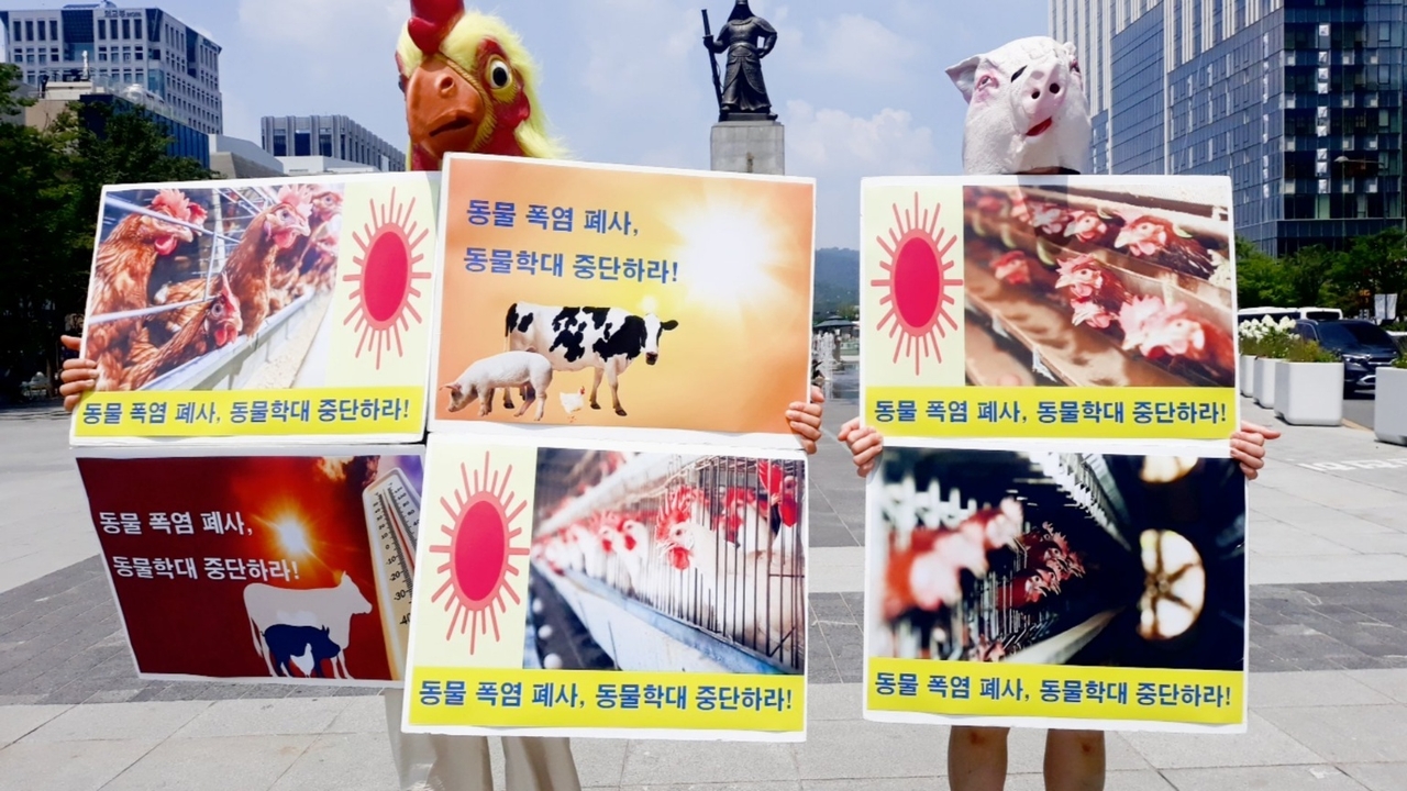 (사진=한국채식연합 제공)