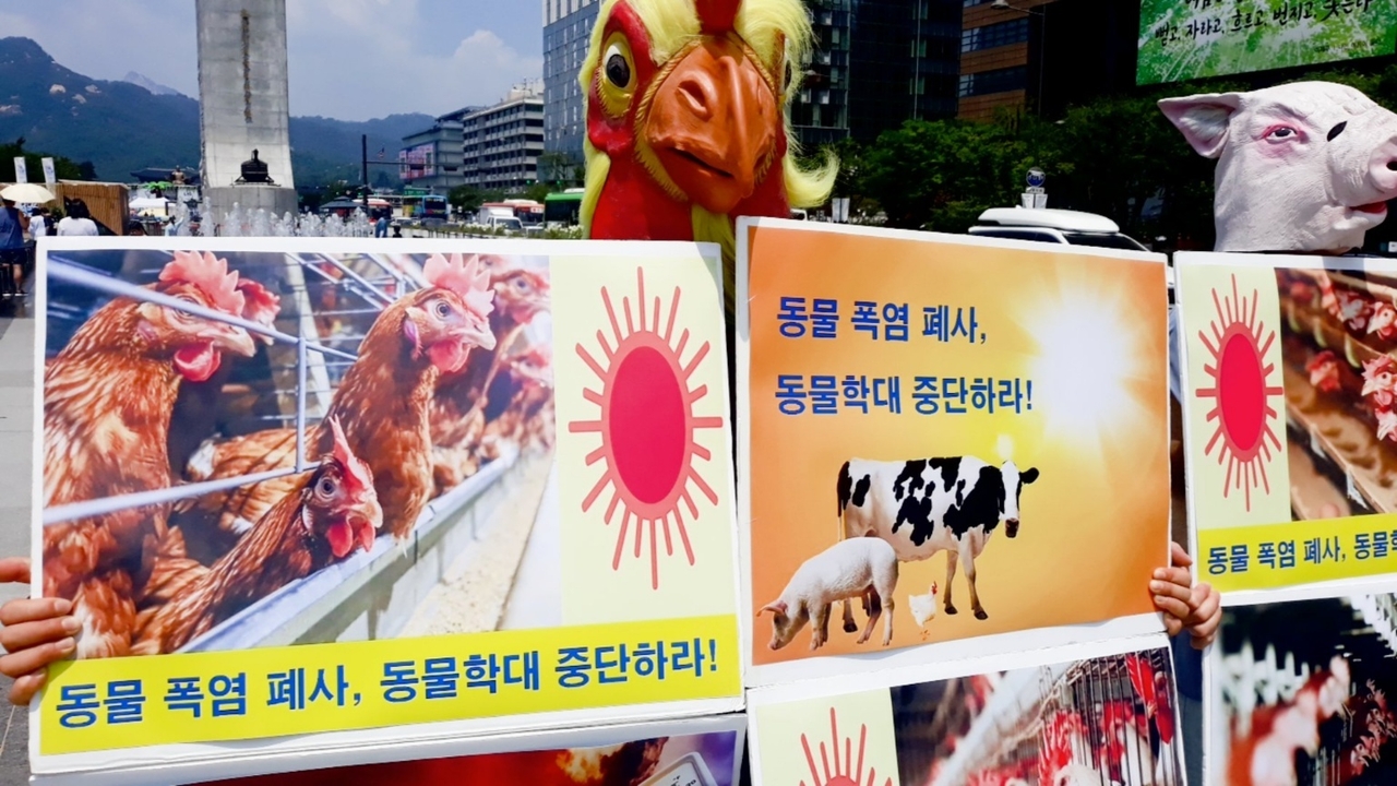(사진=한국채식연합 제공)