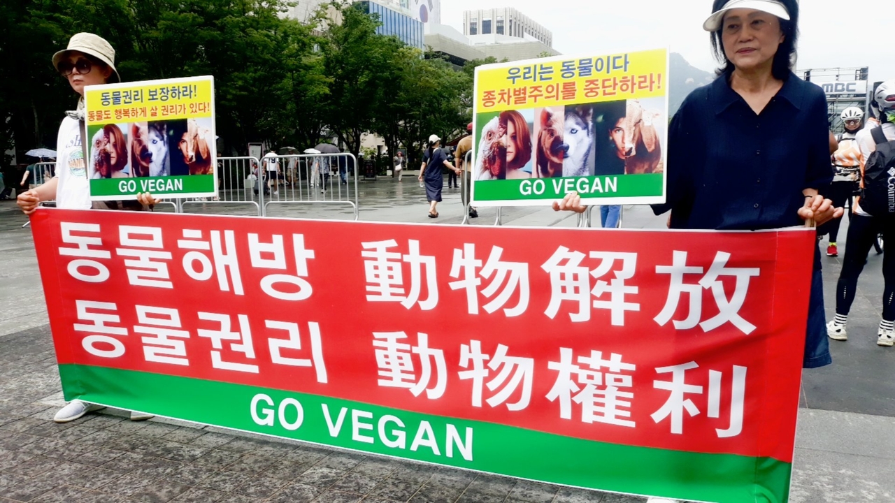 (사진=한국동물보호연합 제공)