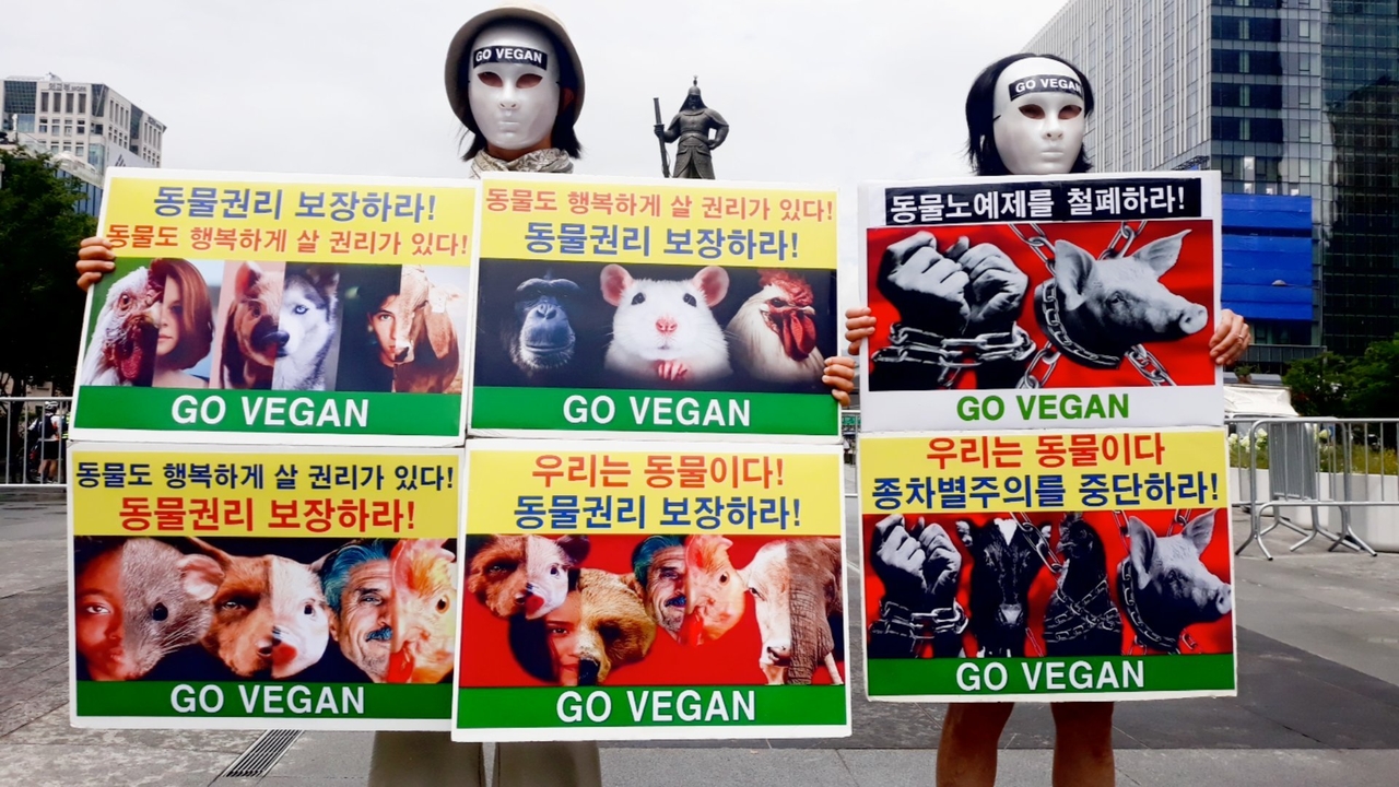 (사진=한국동물보호연합 제공)