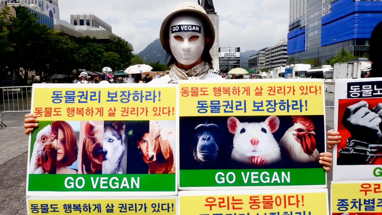 (사진=한국동물보호연합 제공)