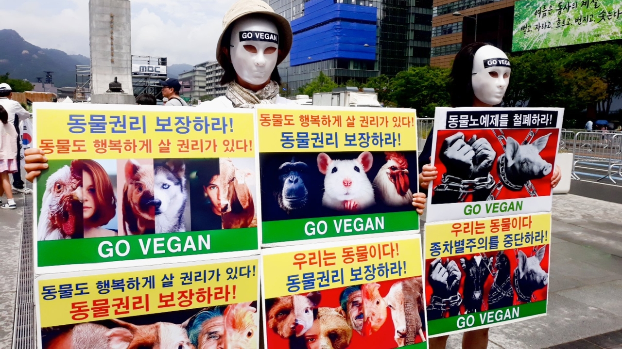 (사진=한국동물보호연합 제공)