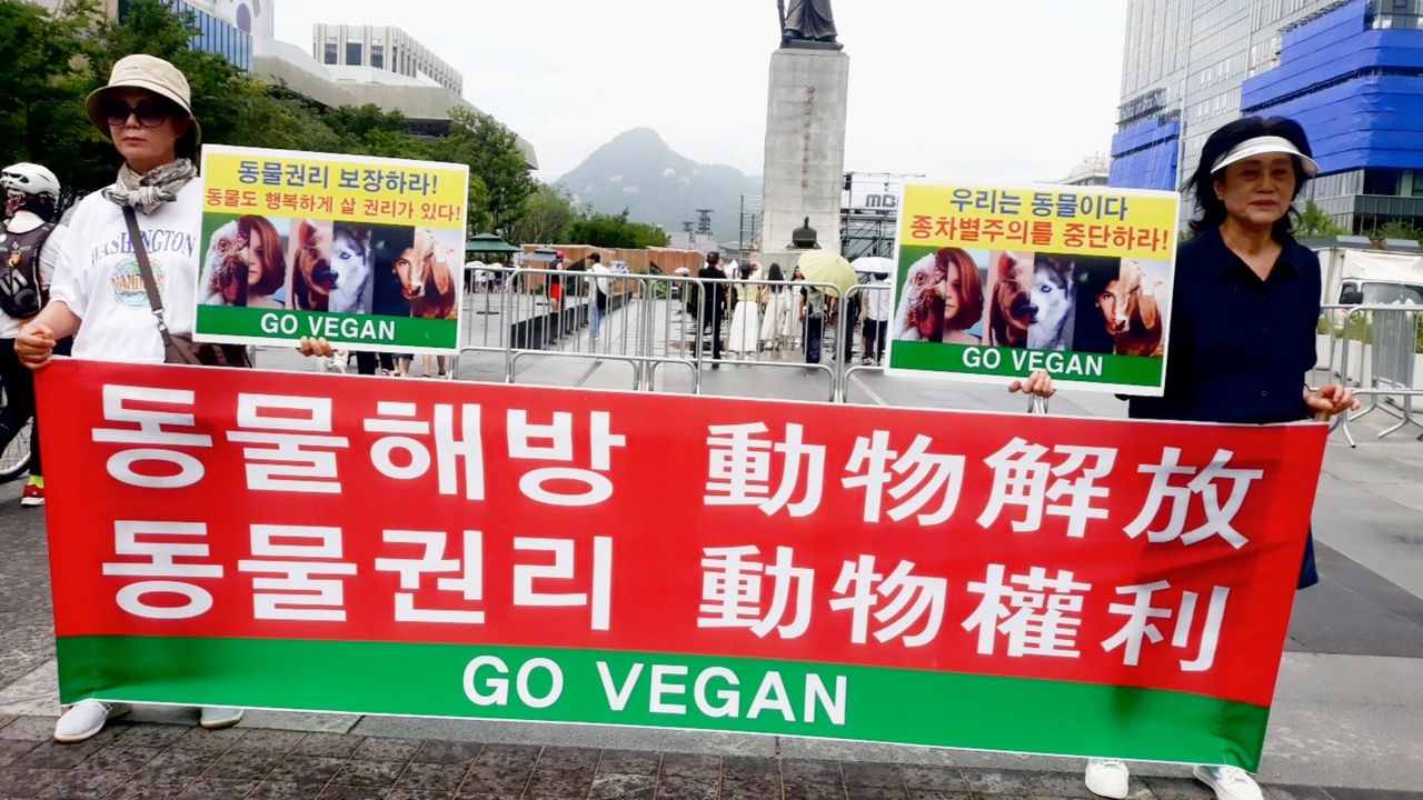 (사진=한국동물보호연합 제공)
