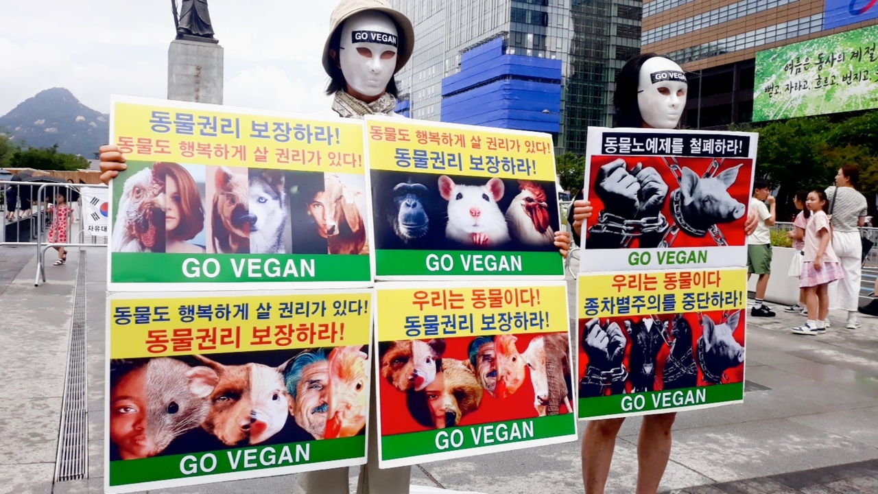 (사진=한국동물보호연합 제공)