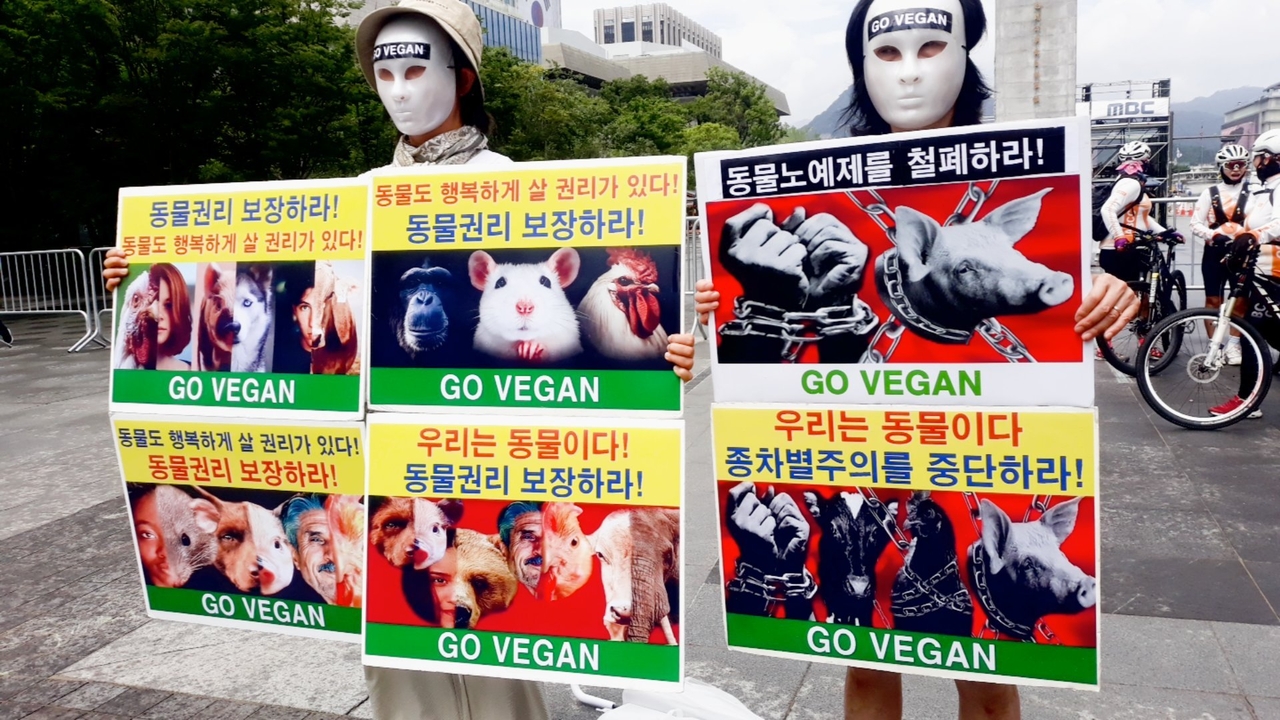 (사진=한국동물보호연합 제공)