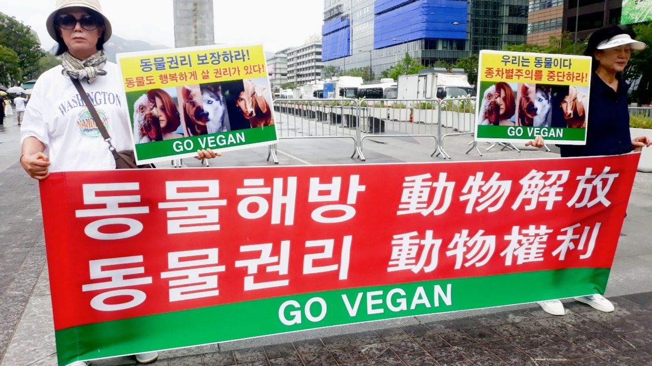 (사진=한국동물보호연합 제공)