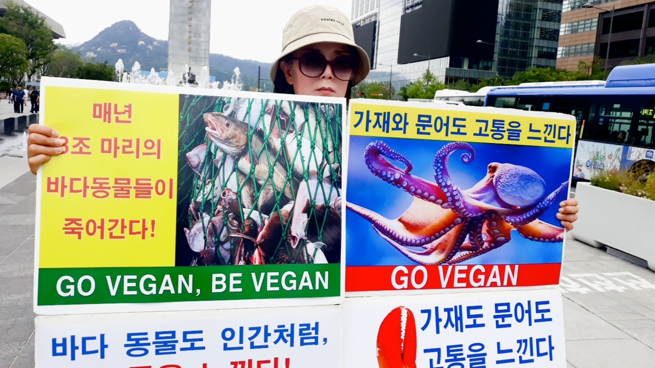(사진=한국동물보호연합 제공)