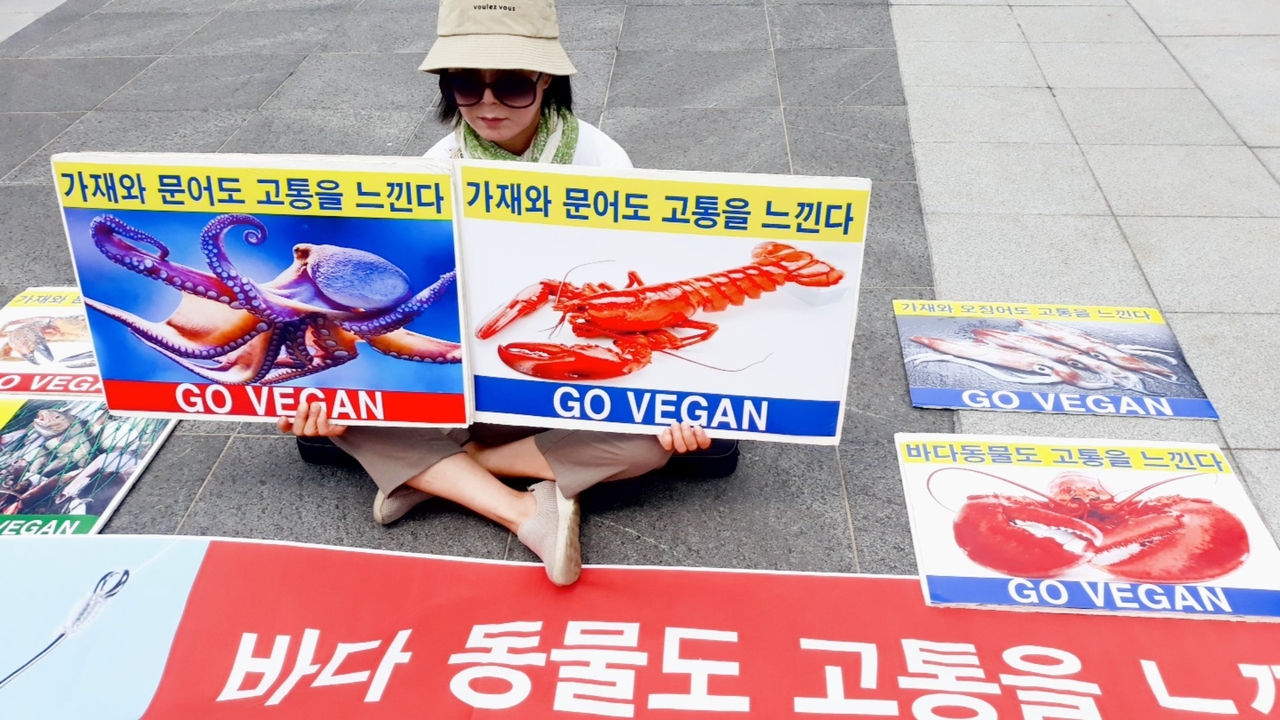 (사진=한국채식연합 제공)