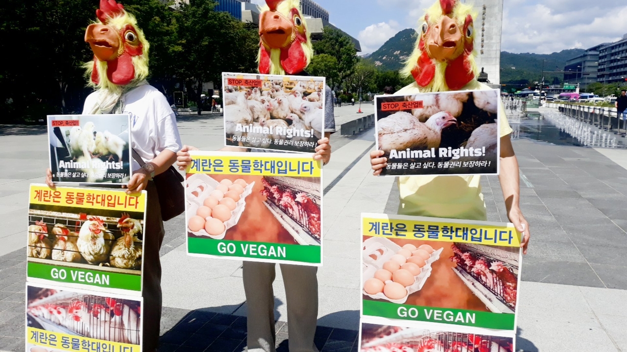 (사진=한국채식연합 제공)