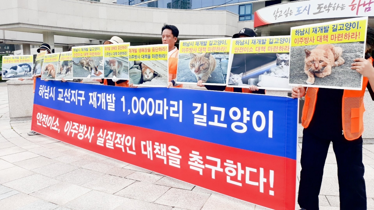 (사진=어울림 시민동물연대· (사)나비야사랑해 제공)