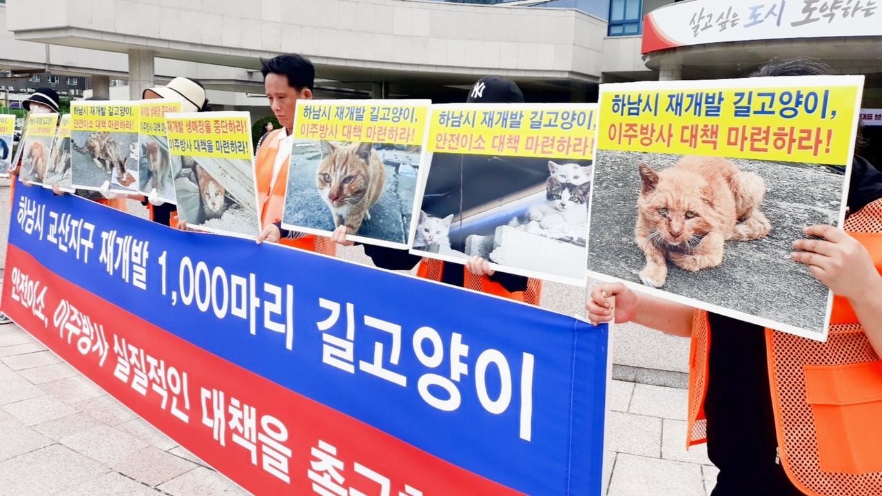 (사진=어울림 시민동물연대· (사)나비야사랑해 제공)