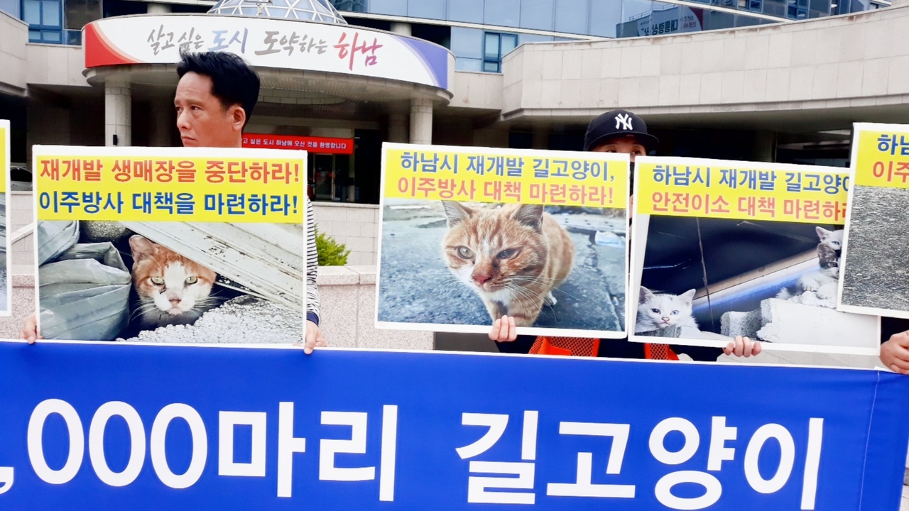 (사진=어울림 시민동물연대· (사)나비야사랑해 제공)