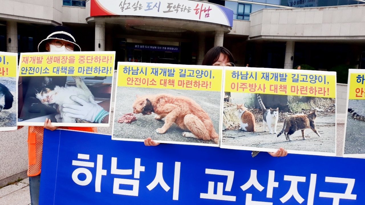 (사진=어울림 시민동물연대· (사)나비야사랑해 제공)