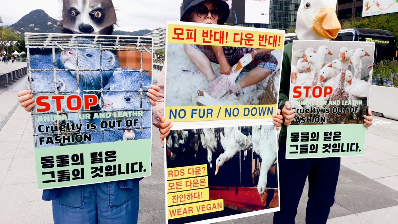 (사진=한국채식연합 제공)