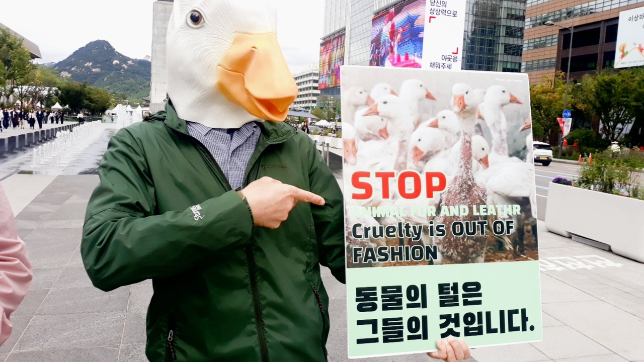 (사진=한국채식연합 제공)