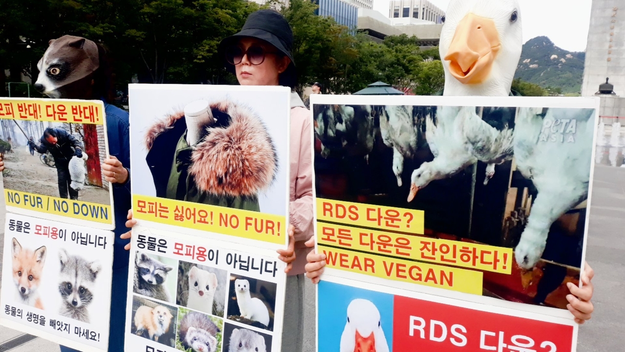 (사진=한국채식연합 제공)
