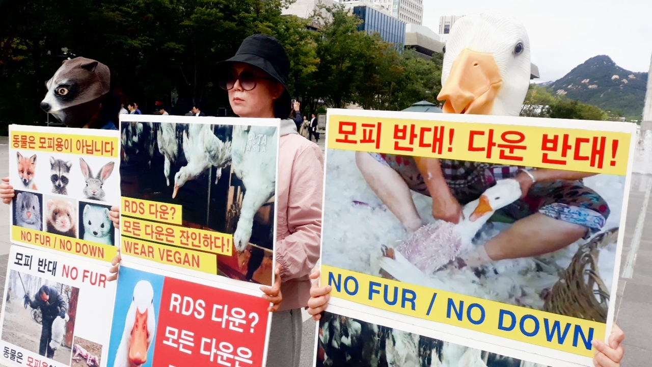 (사진=한국채식연합 제공)