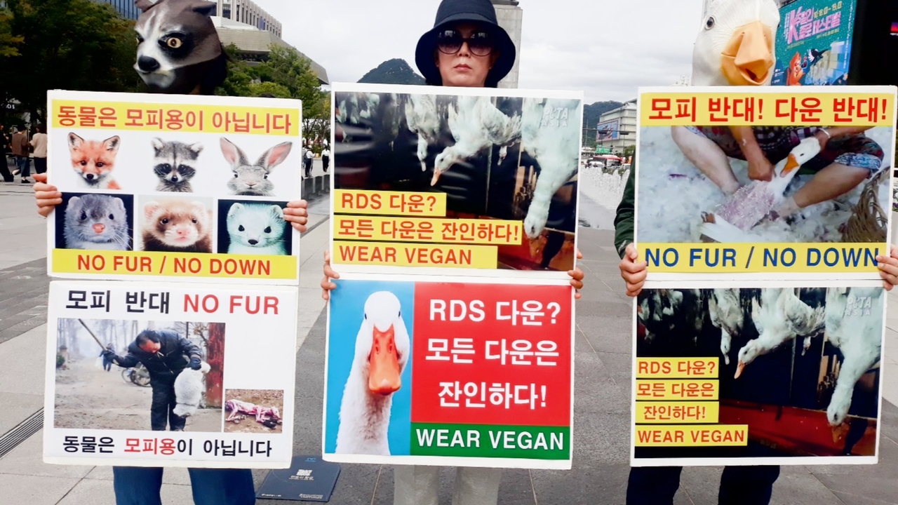 (사진=한국채식연합 제공)