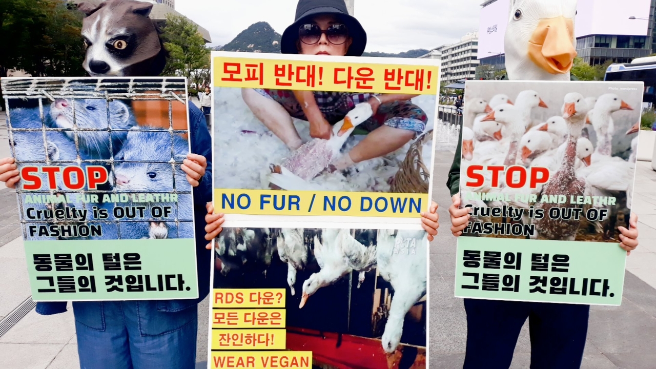 (사진=한국채식연합 제공)
